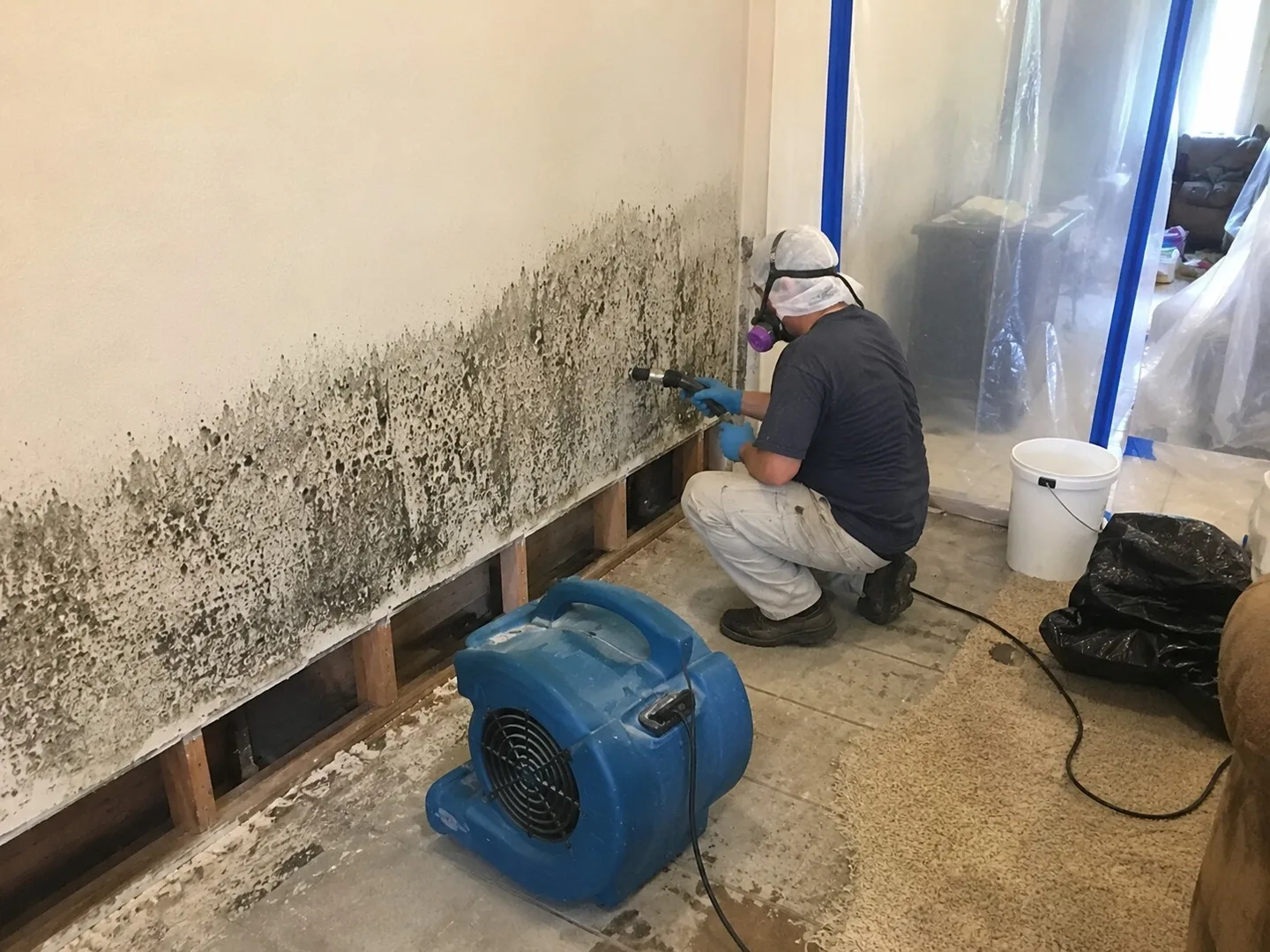 Mold Remediation Service Morongo Valley in Morongo Valley